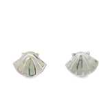 Arete Opalo de Plata Concha de Mar