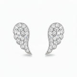 Arete "Ala" de Circonia
