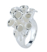 Anillo Arrecife