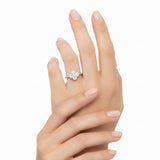 Anillo Flor de Circonia 7