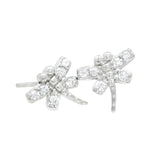 Arete Libélula de Circonia Circonia