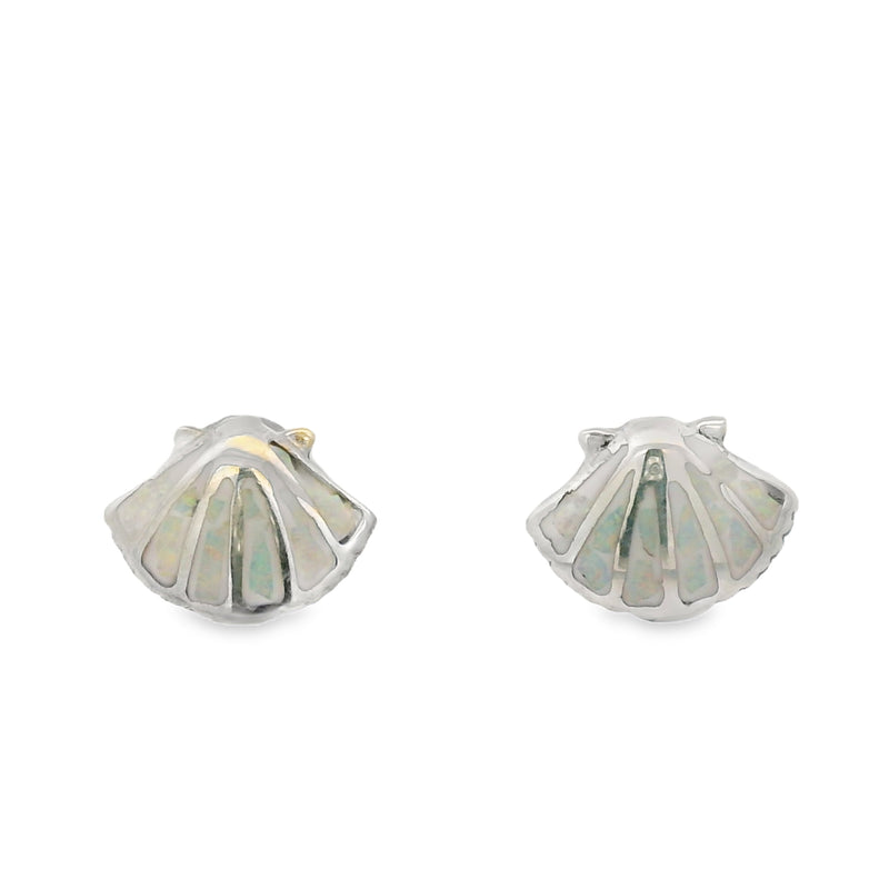 Arete Opalo de Plata Concha de Mar