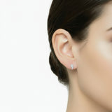 Arete "Ala" de Circonia