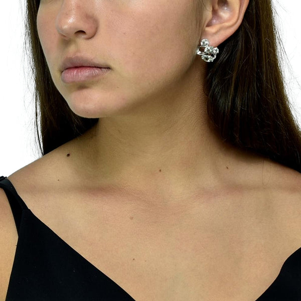 Aretes de Garabato